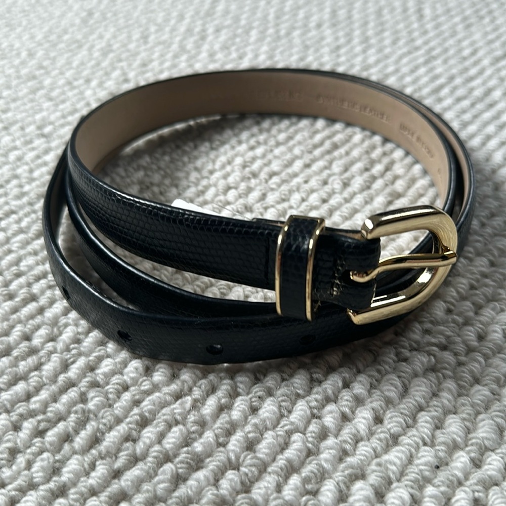 Black and Gold Belt